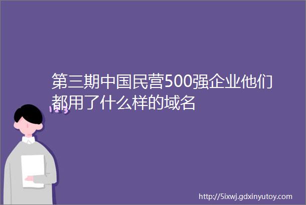 第三期中国民营500强企业他们都用了什么样的域名
